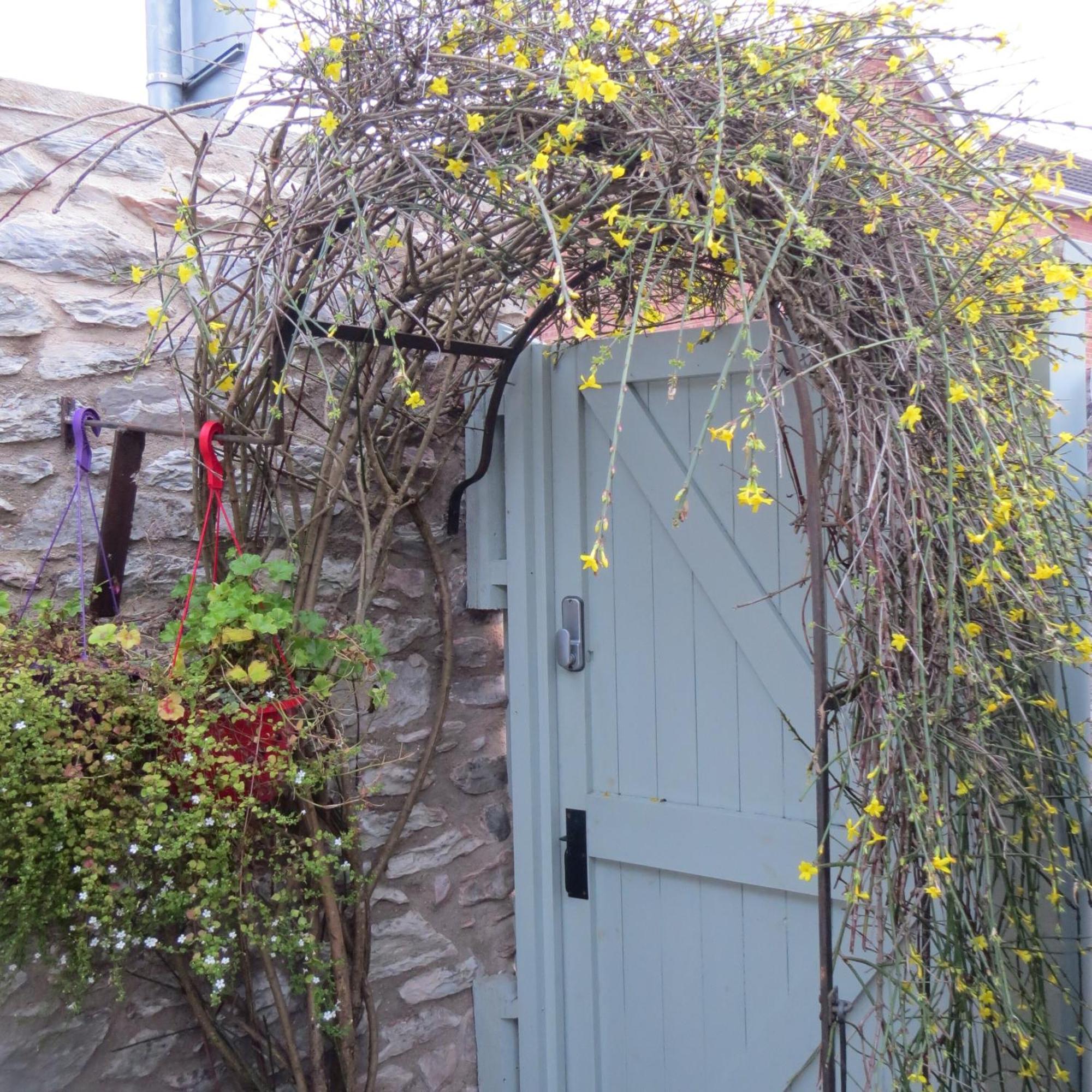 Frog Palace - Secure Parking-Outside Area-Topsham-Exeter-Beach-Chiefs-Wifi 외부 사진